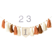 Party Tassel Banner Decoration