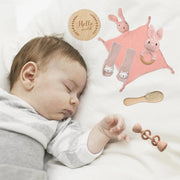 Baby Bath & Teether Toy  Gift Set