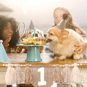 1st Birthday Boho Party Decoration