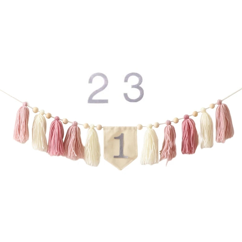 Party Tassel Banner Decoration