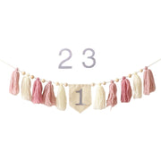 Party Tassel Banner Decoration