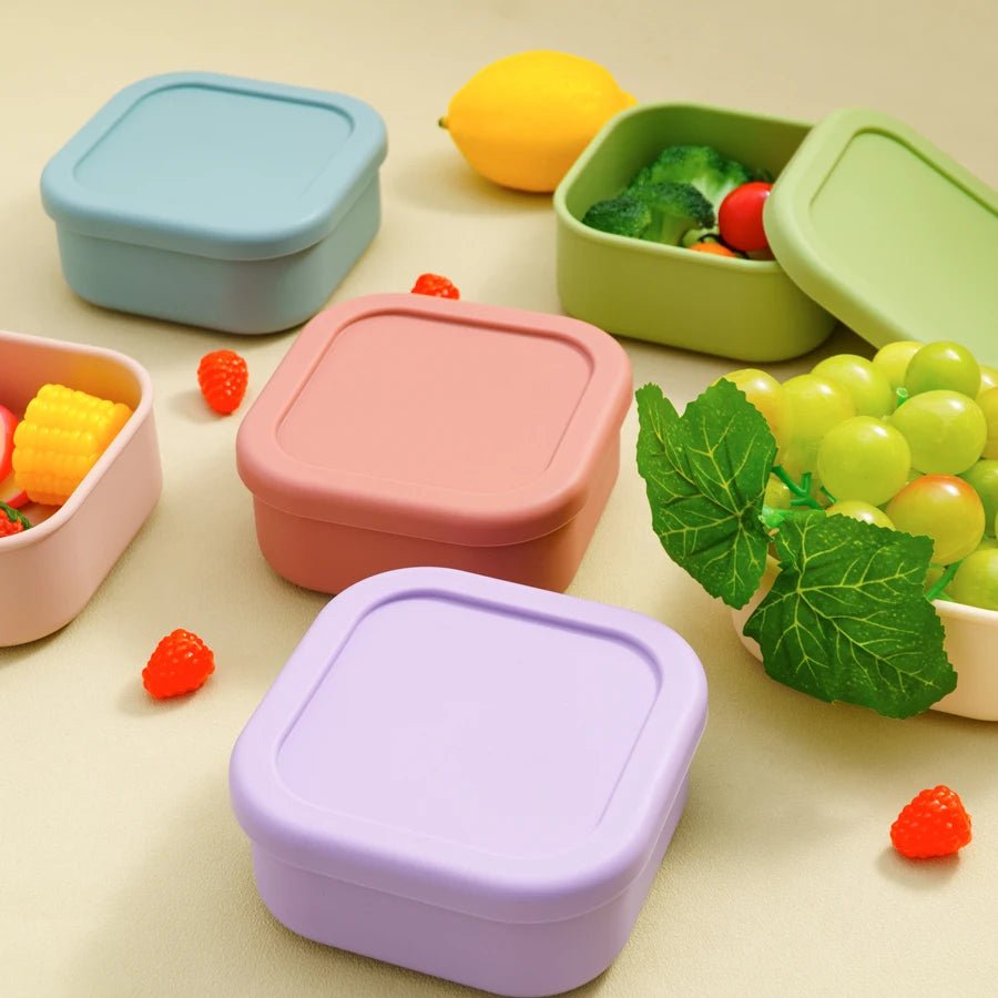 Lunch Box Single Compartment