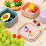 Lunch Box Single Compartment