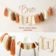 Party Tassel Banner Decoration