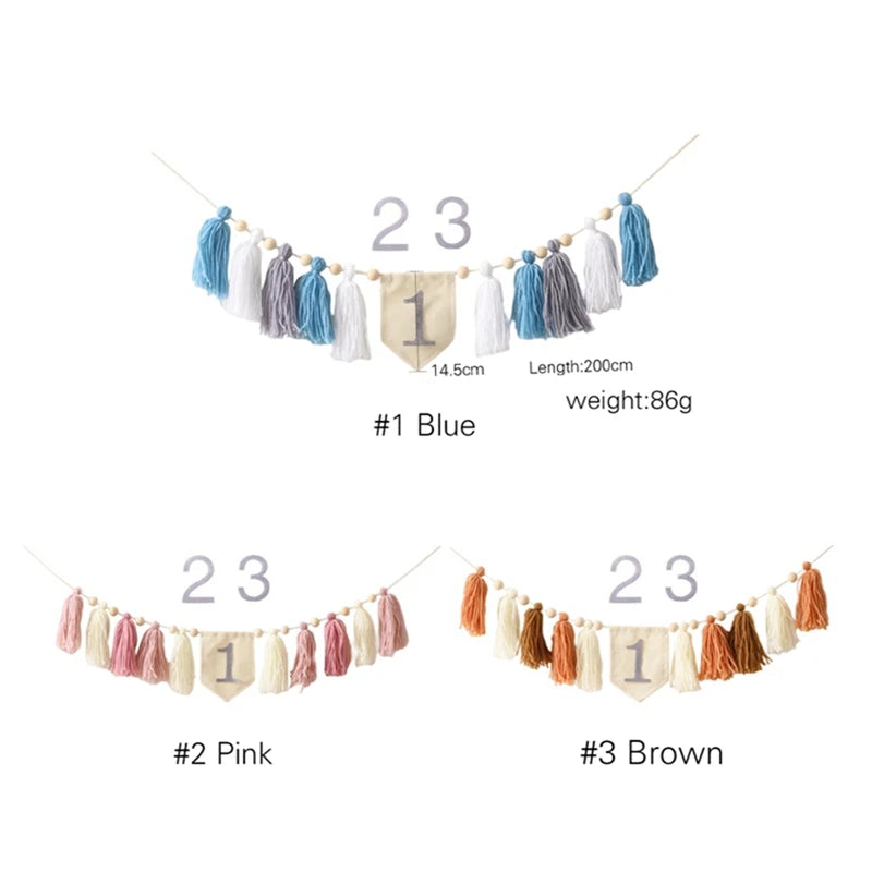 Party Tassel Banner Decoration