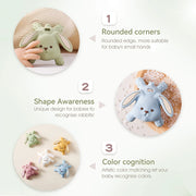 Rabbit Molar Teething Toys