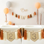 Party Tassel Banner Decoration