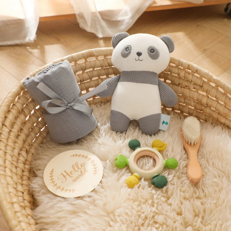 Milestone Card Crochet Rattle Teether Set