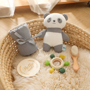 Milestone Card Crochet Rattle Teether Set