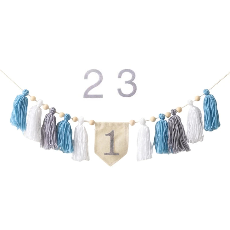 Party Tassel Banner Decoration