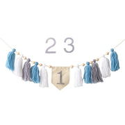 Party Tassel Banner Decoration